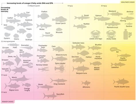 walleye omega 3 content